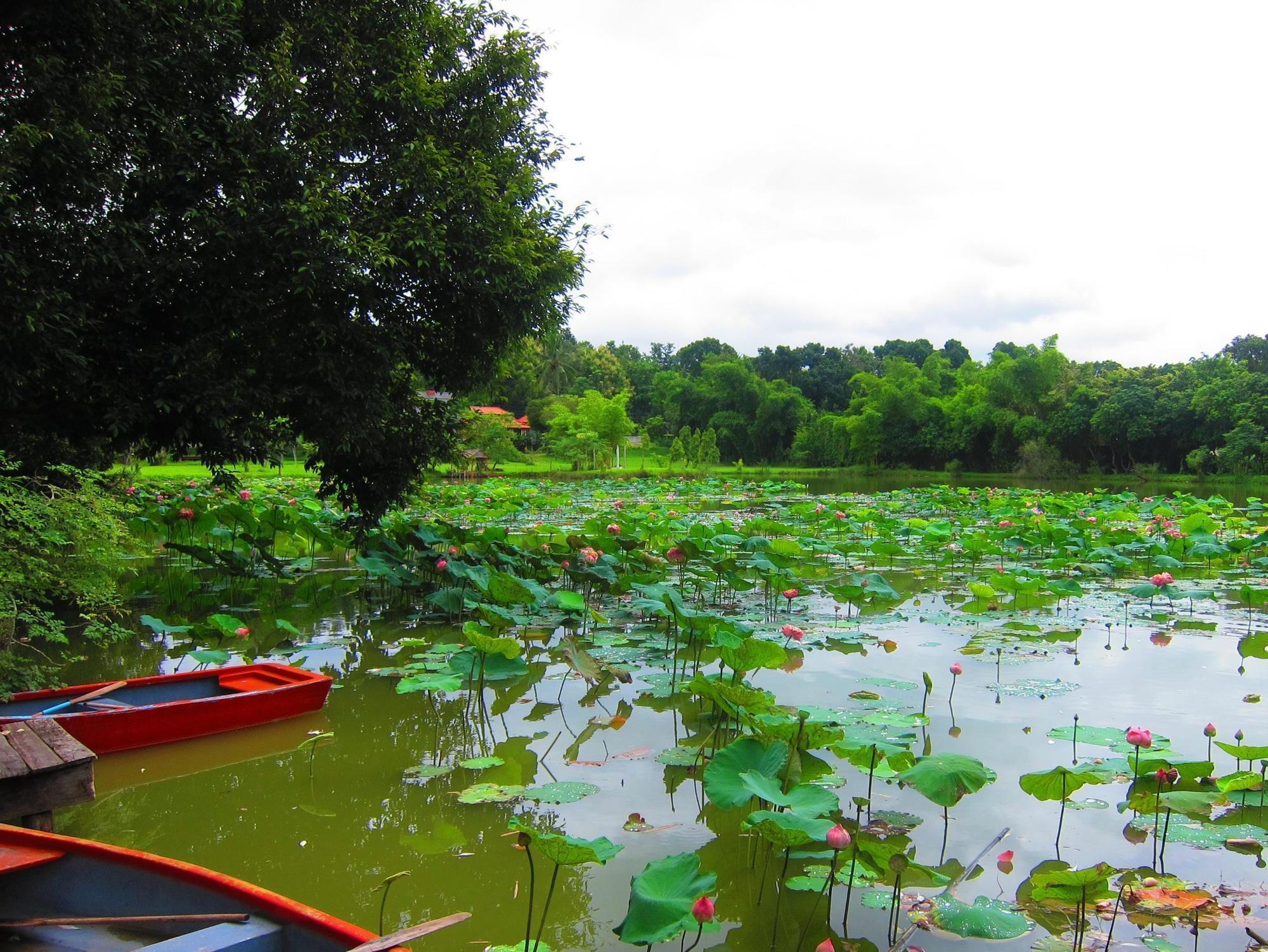 Mae Rim Lagoon Bed & Bakery Экстерьер фото
